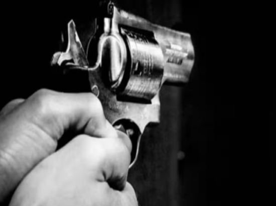 Gun