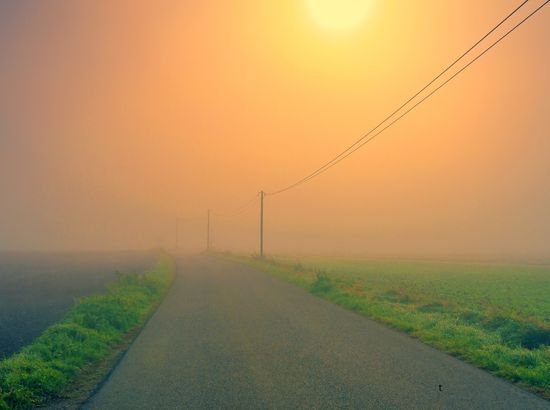Fog Panjab Pratham News